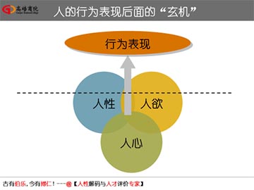 企業管理培訓核心課程——打造企業組織系統