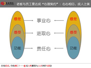 企業管理培訓核心課程——打造企業組織系統