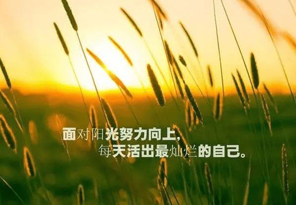 《賦能團(tuán)隊正能量》--打造高效團(tuán)